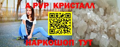 амф Гусев