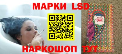 амф Гусев