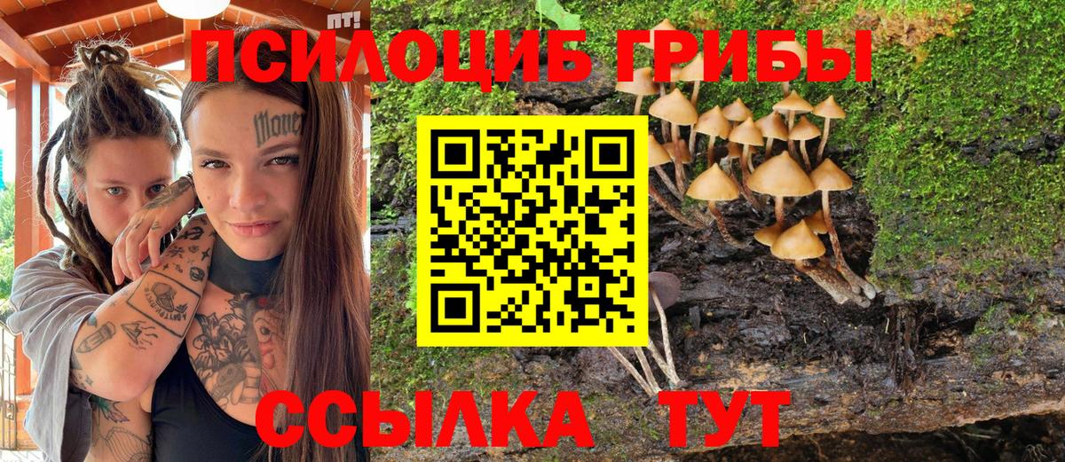 Псилоцибиновые грибы GOLDEN TEACHER  Вход с VPN  Псилоцибиновые грибы ЛСД  Усть-Илимск 
