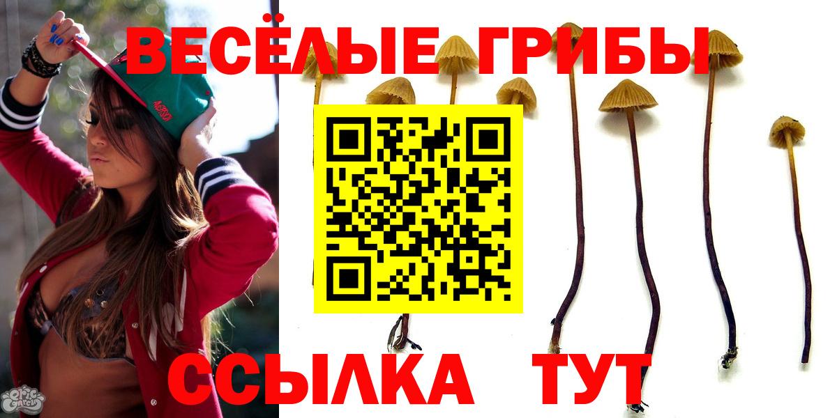 Галлюциногенные грибы прущие грибы Усть-Илимск